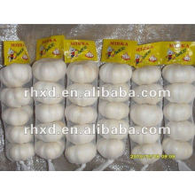 Cangshan Nuevo Fresh Chinese Normal White Garlic